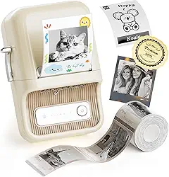 NIIMBOT Impressora de adesivos, fabricante de adesivos portáteis B21 Pro, fabricante de etiquetas Bluetooth, impressora de etiquetas HD 300DPI para fotos, notas, gráficos de estudo, máquina de