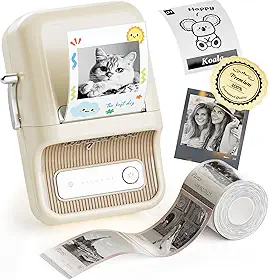 NIIMBOT Impressora de adesivos, fabricante de adesivos portáteis B21 Pro, fabricante de etiquetas Bluetooth, impressora de etiquetas HD 300DPI para fotos, notas, gráficos de estudo, máquina de