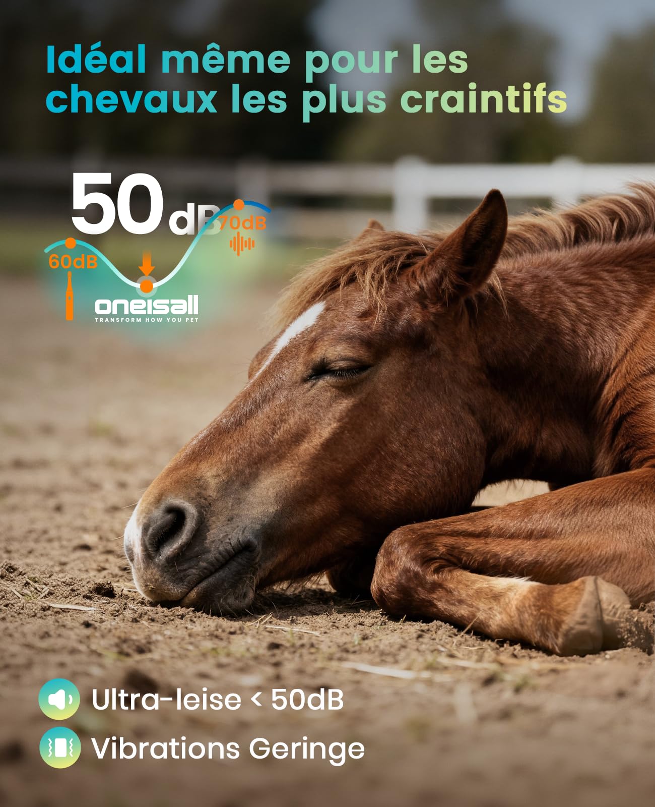 oneisall Tondeuse sans fil silencieuse pour chevaux, tondeuse rechargeable pour chevaux avec 6 accessoires et lame amovible en acier inoxydable, autonomie de 4 heures, tondeuse pour chevaux et chiens