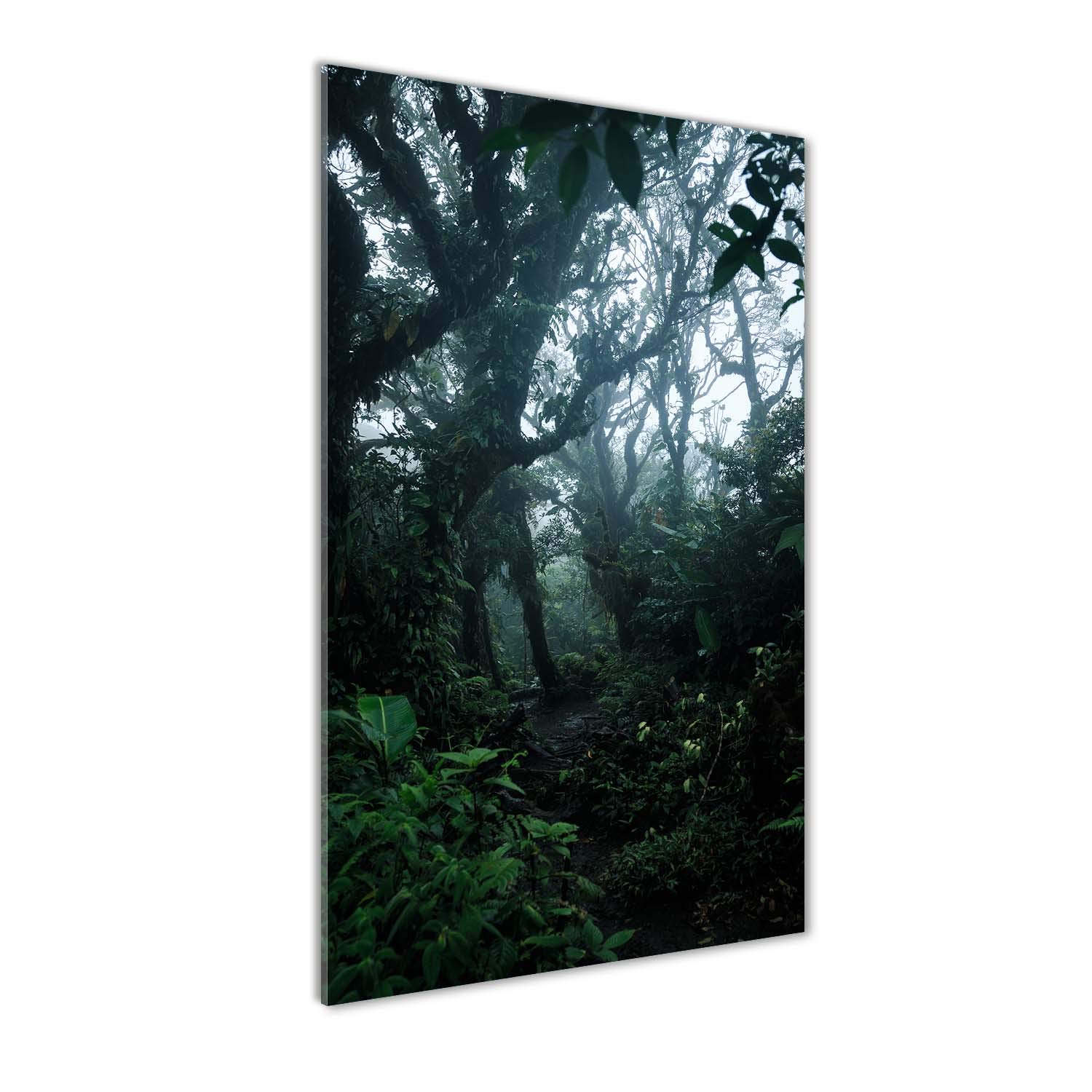 Photo décorative panoramique 60x120 résistant à l'humidité de cuisine