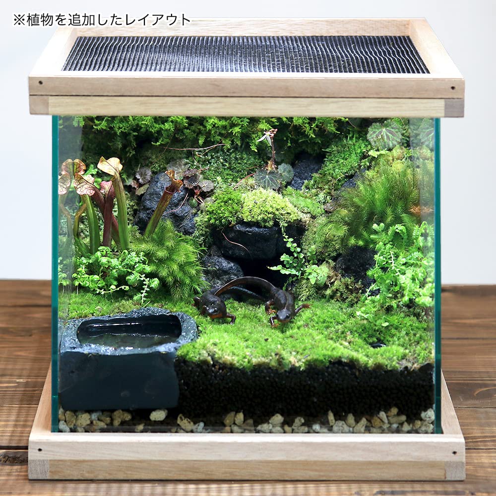 イモリウム 30cm水槽 オーダー希望はコメント下さいm(_ _)m イモリウム 30cm水槽 オーダー希望はコメント下さいm(_ _)m