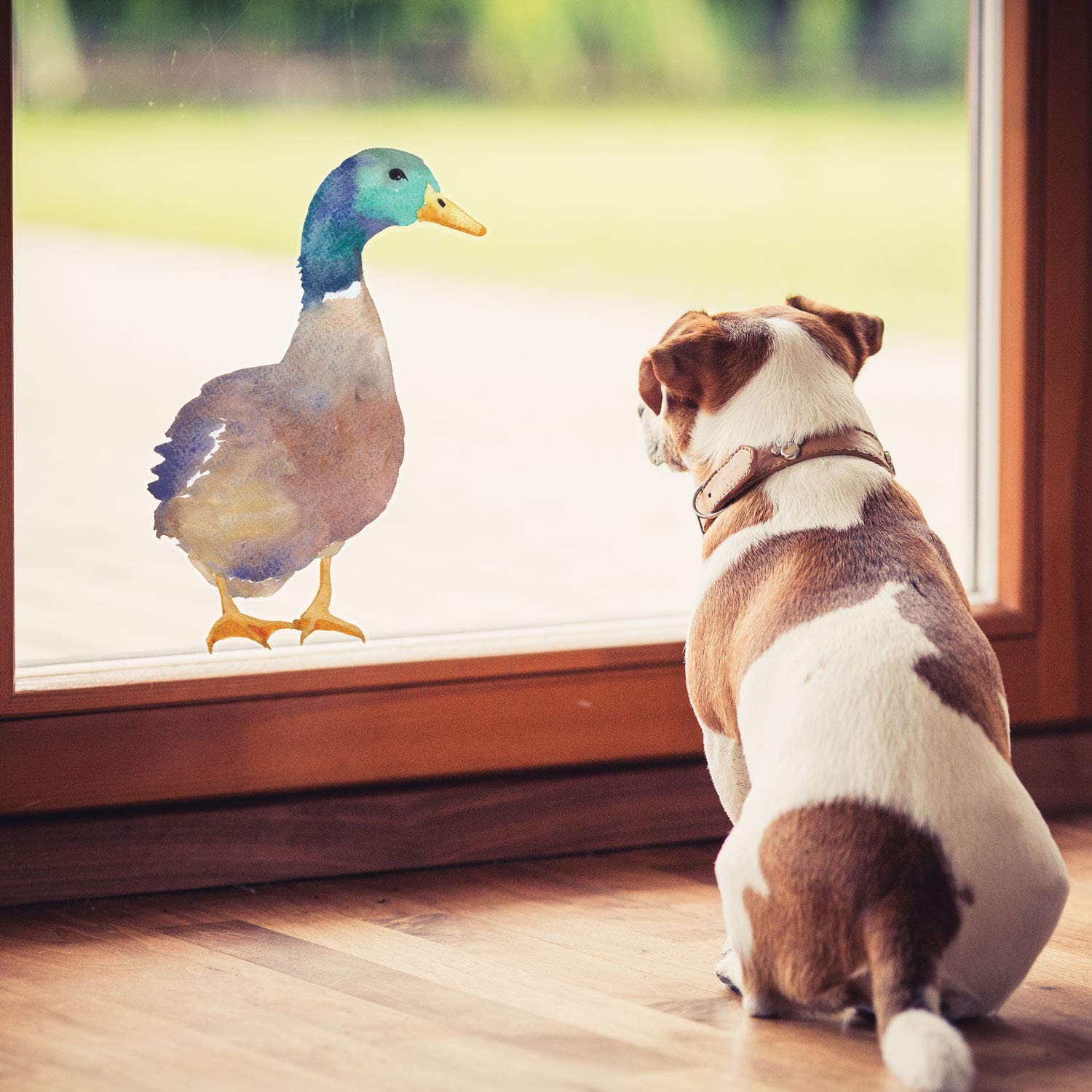 Stickerscape Men's Duck - Option 1 Bird Window Stickers (Duck - Option 1) | Spring Window Decal, Bird Window Decor, Spring Window Stickers | Easy To Apply, Cleanly Removable And Repositionable