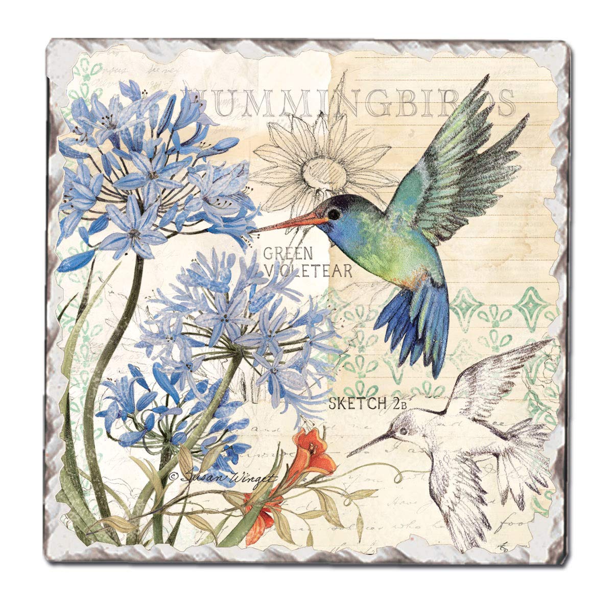 CounterArt Green Violetear Hummingbird 1 Pack Single Absorbent Stone Coaster with Protective Cork Backing Manufactured in The USA 4" Square, Colorful, Artistic, Easily Wipes Clean