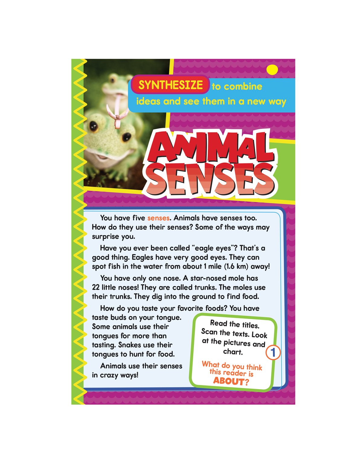 Guided Reading Synthesize Grades 1-2: Synthesize Resource Book