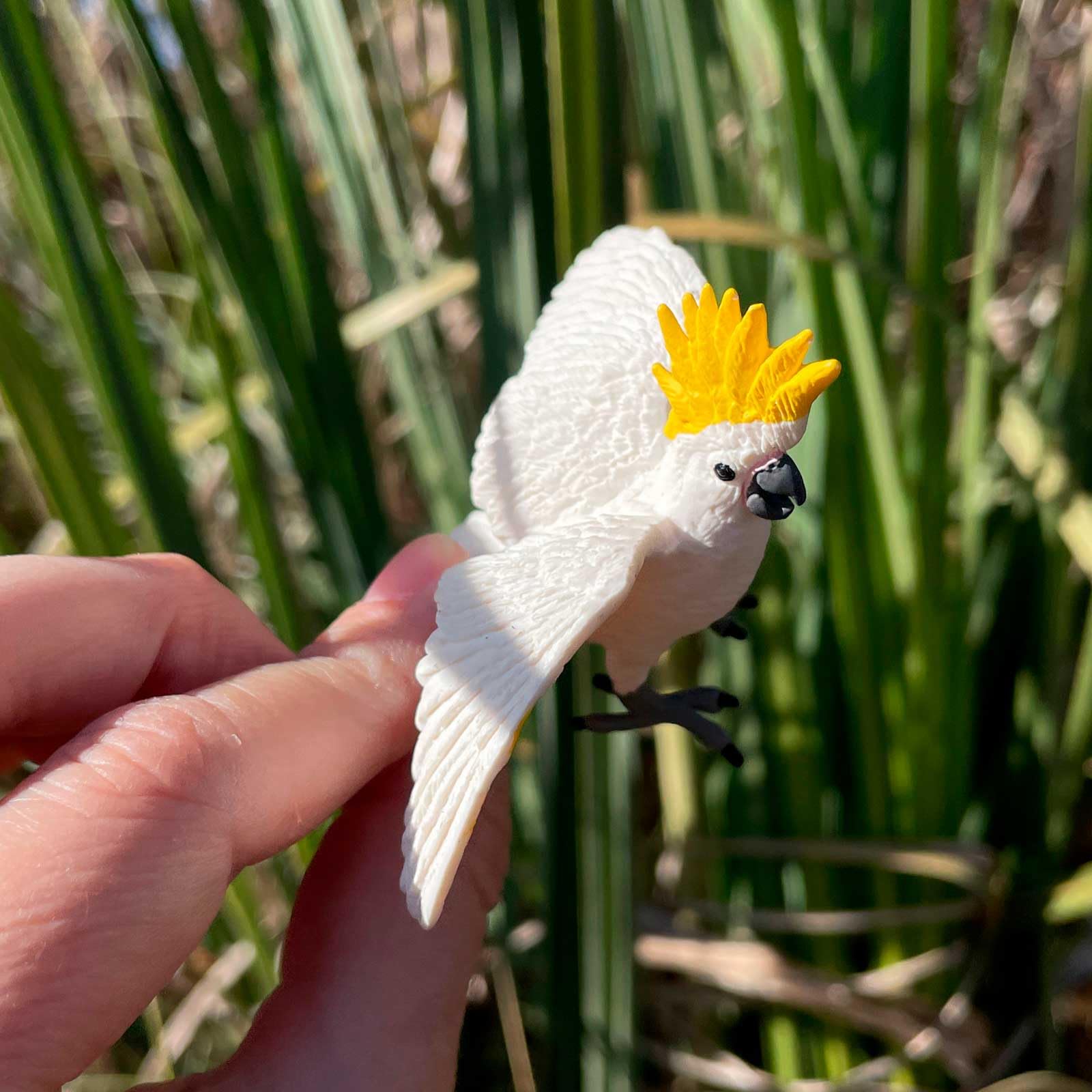 Safari Wings Of The World Cockatoo Miniature - Hand-Finished Plastic Bird Figure For Educational Play - View #6