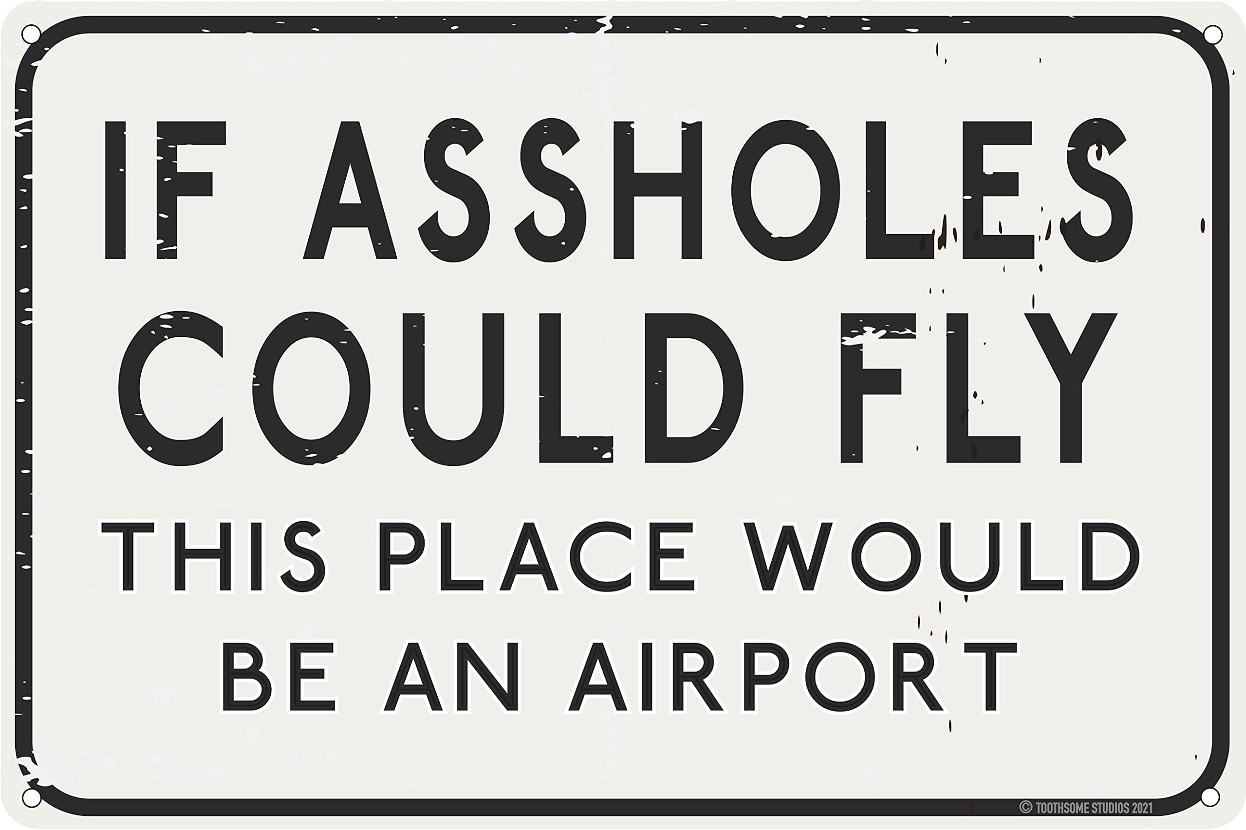 Toothsome Studios If A Holes Could Fly This Place Would Be an Airport 12" x 8" Funny Tin Sign Man Cave Garage Home Bar Decor