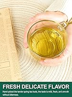 Vista 3 de TeeLux: Bolsitas de Té Verde, Té Verde Puro Natural, Súper Antioxidante, Con Cafeína, Apoyo a la Salud General, 200