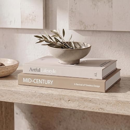 Aesthetic Decorative Books Set of 2 - Stylish Boxes for