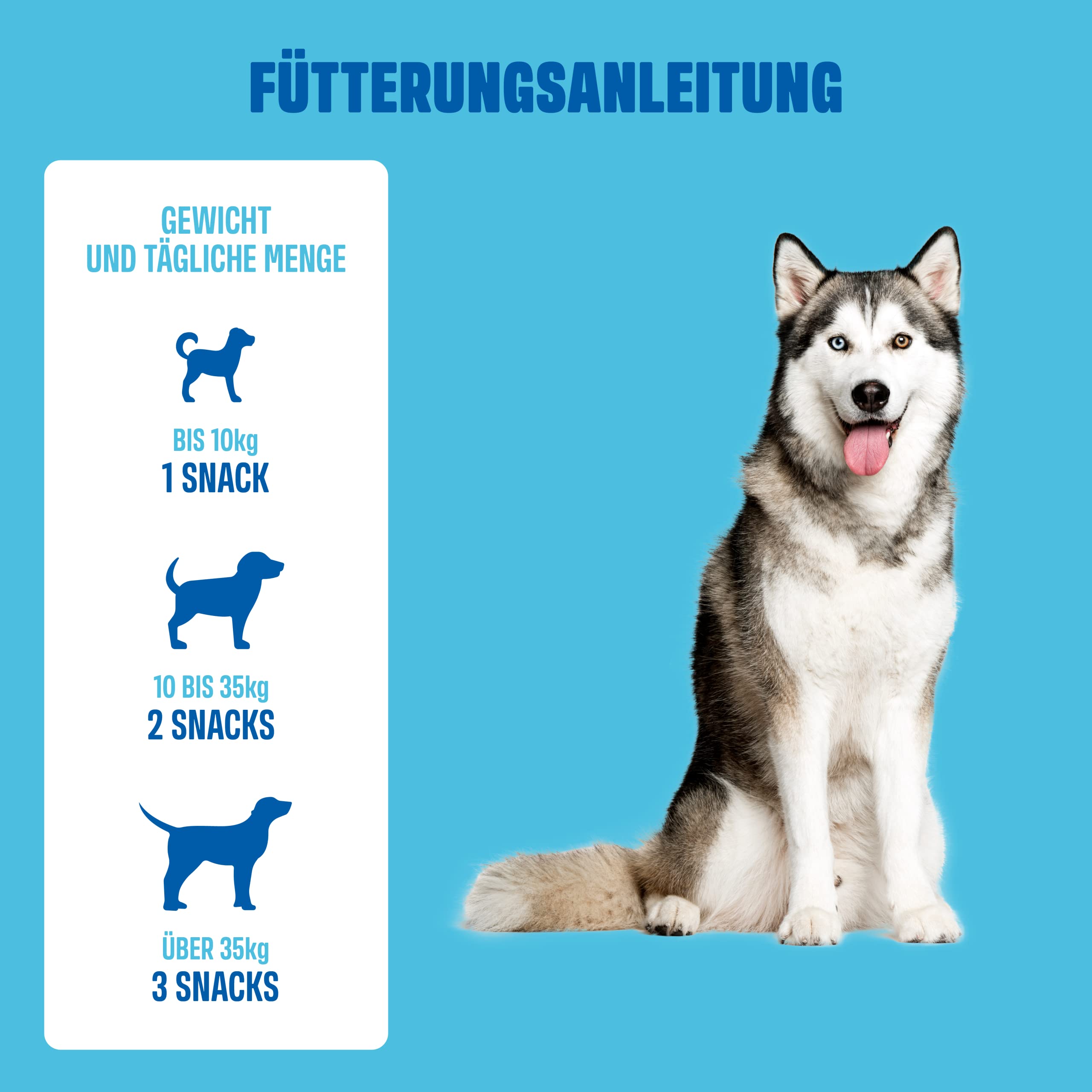 ivvi Multivitamin für Hunde als Leckerli – Rundumversorgung mit Probiotika, B Vitamine, Omega 3, Grünlippmuschel, Cranberry - 60 Snacks (270g) mit Huhn