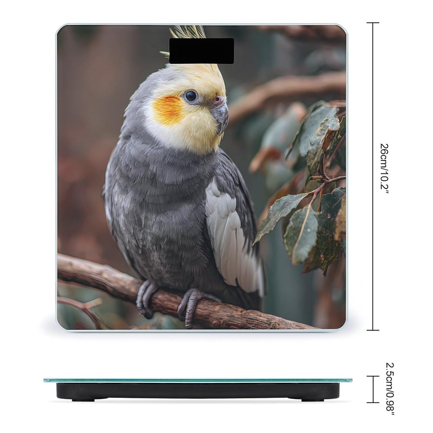 Cockatiel on The Branches Digital Body Weight Scale LCD Backlight Display for Bathroom Gym