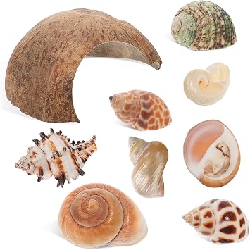 Robust Coconut Shell Crab House Hideout for Reptiles Turtles Semi-Circular Tank Decor Safe Aquarium Accessory Seashells