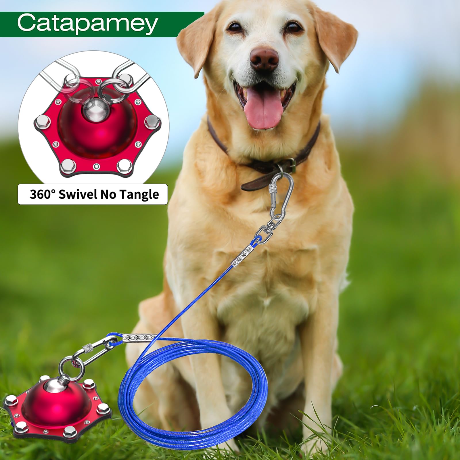 Dog Collar Best Tie Out Stake For Large Dogs Leash Large Dog Yard Stake Dog  Tether