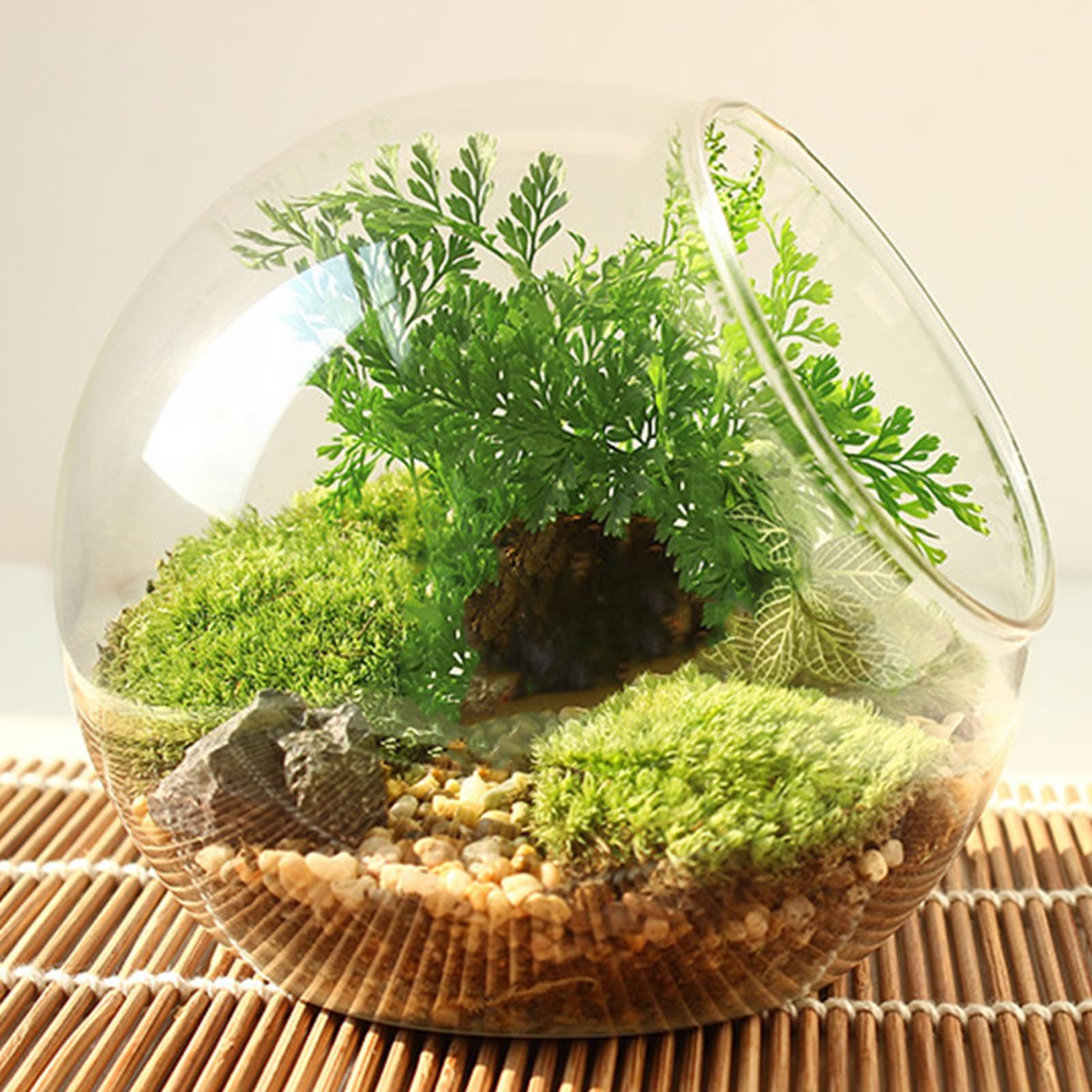 Terrarium de en Verre,Terrarium de,Récipient de Terrarium en Verre Rond | Pot de Fleurs pour, conteneur de à Air, pièce maîtresse d'affichage de décoration de Maison en Verre pour Miniature succulen