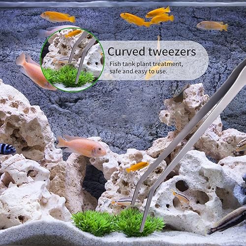 Miniatura 7 de Firesteed Pinzas de acuario de mango extralargo para servir, pinzas de alimentación, paquete de 2 pinzas rectas y curvas de acero inoxidable para