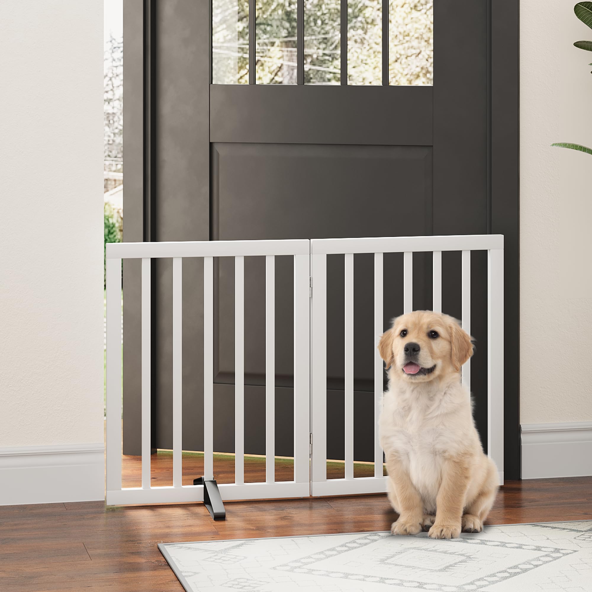 2 Panel - 37"Wide 24"Tall