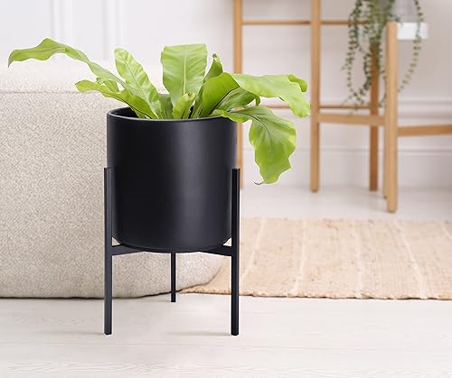 Miniatura 7 de Macetero moderno con soporte de metal de 8, 10, 12 y 14 pulgadas, para plantas