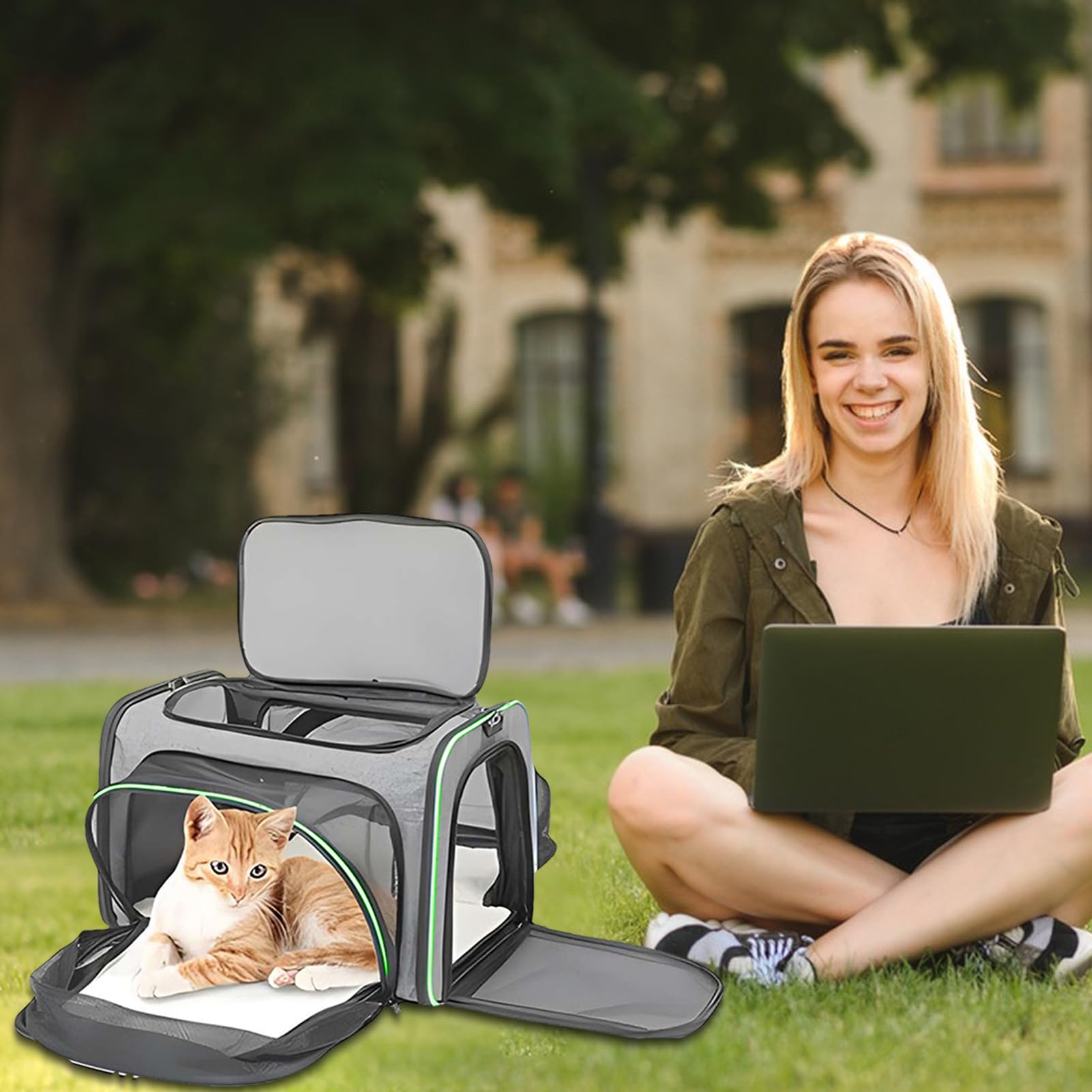 Borsa per il trasporto per gatti, in rete, pieghevole, zaino per animali | domestici, borsa per cani di lunga durata, portatile, per camminare, , vita quotidiana, per attività all'aperto, viagg