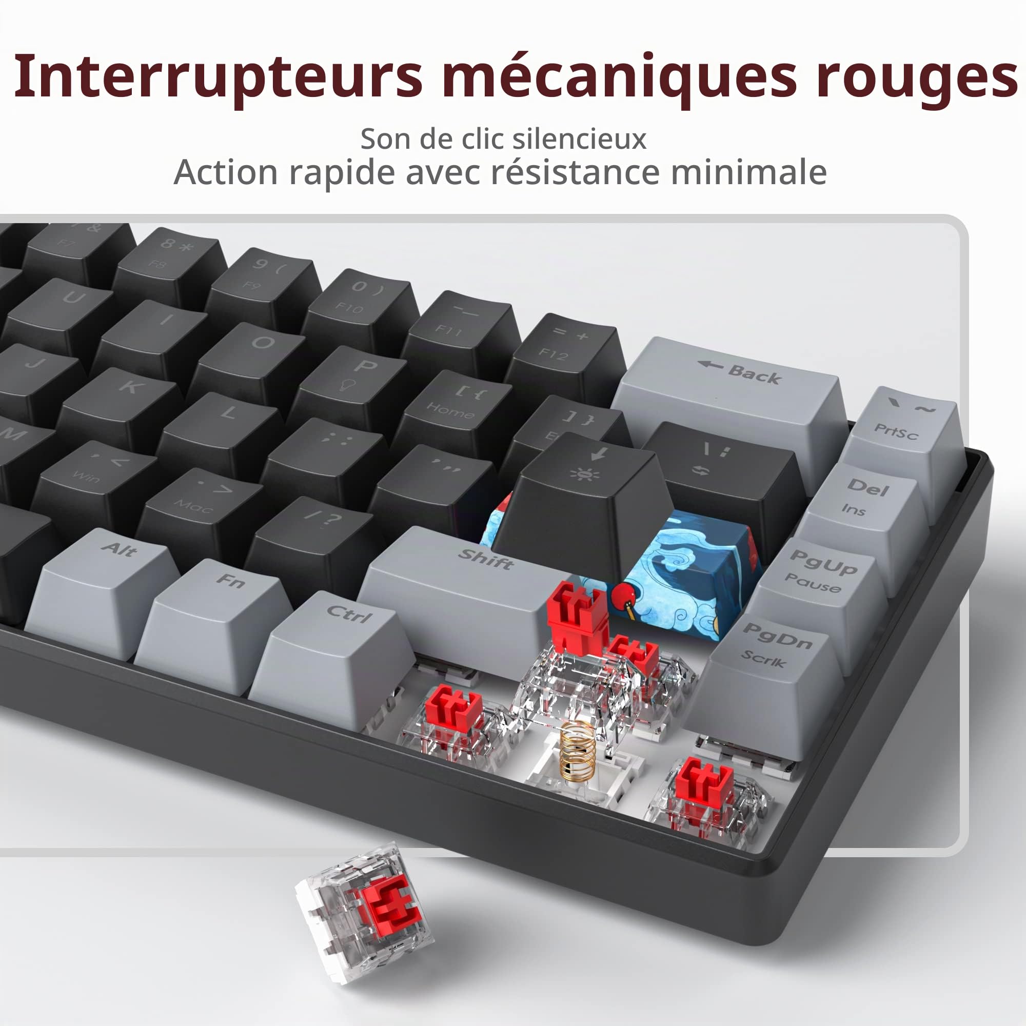 SOLIDEE Clavier de Jeu mécanique 65%,Clavier Filaire Compact rétroéclairé LED RVB 68 Touches avec câble USB Type-C détachable,Clavier de Bureau avec Interrupteur Rouge linéaire pour Win/Mac(68 Dark)