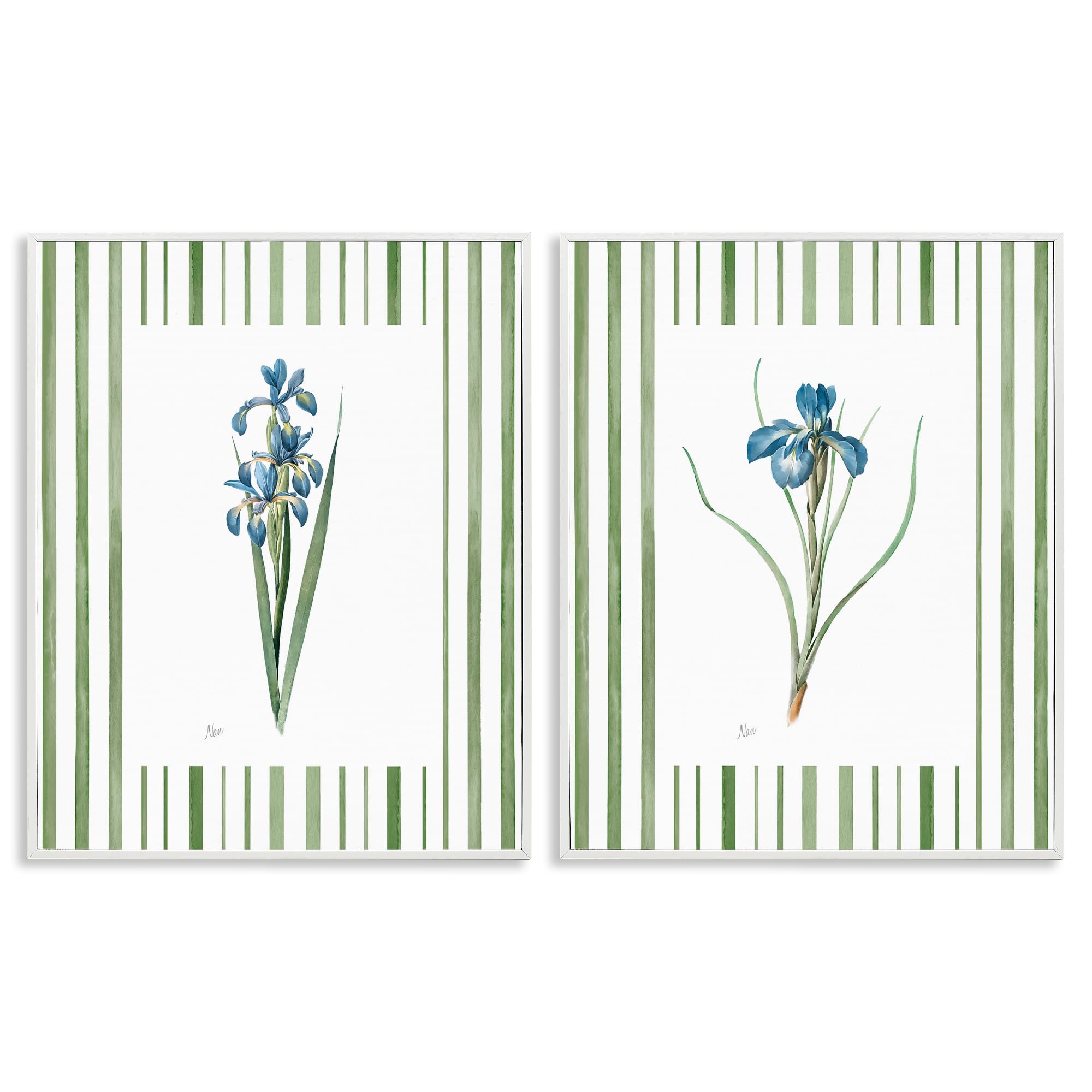 Irises and Stripes Floral, 24 x 30 Inch Framed Giclée Print Set