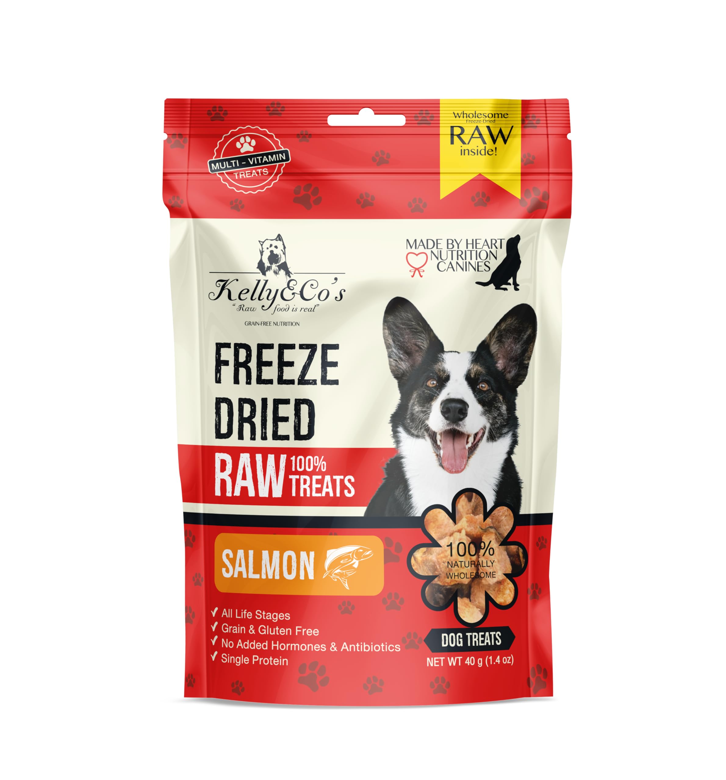 Kelly & Co's Freeze-Dried Single Ingredient Treats DOG 40g (Salmon)