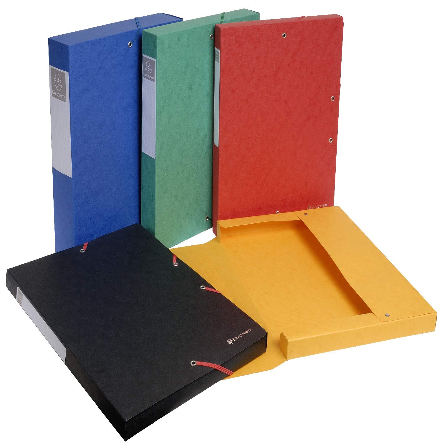 Exacompta 10 scatole archivio Scotten A4 dorso 6 cm assortite