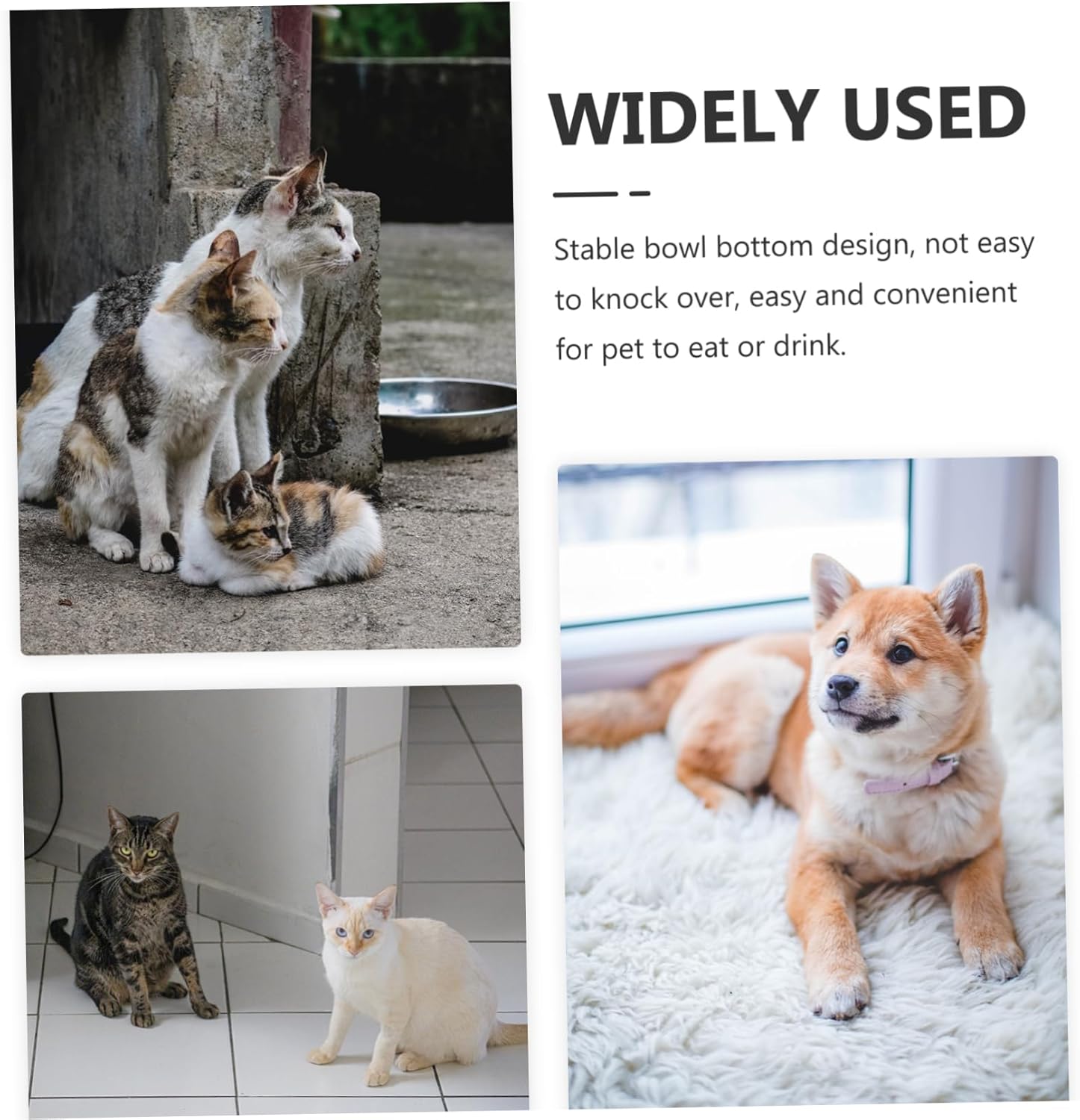 Garneck 2pcs Elevated Cat Feeder Cat Food Bowl Non-Slip Base Unique Ear Design Pet Feeding Tool for Comfortable Eating Experience