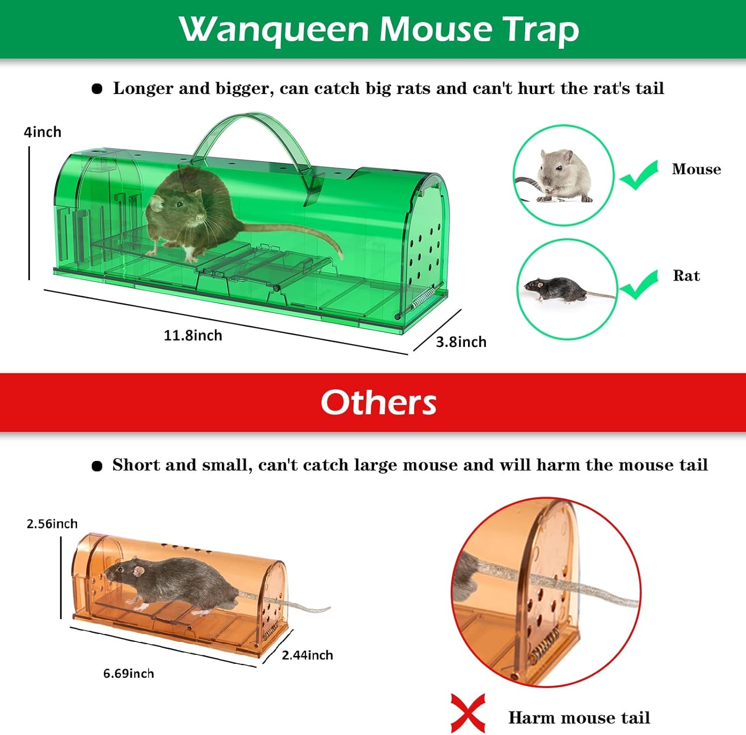 Buy Enlarged Humane Mouse Traps No Kill Rat Trap, Reusable Catch and Release Chipmunk Trap, Pet