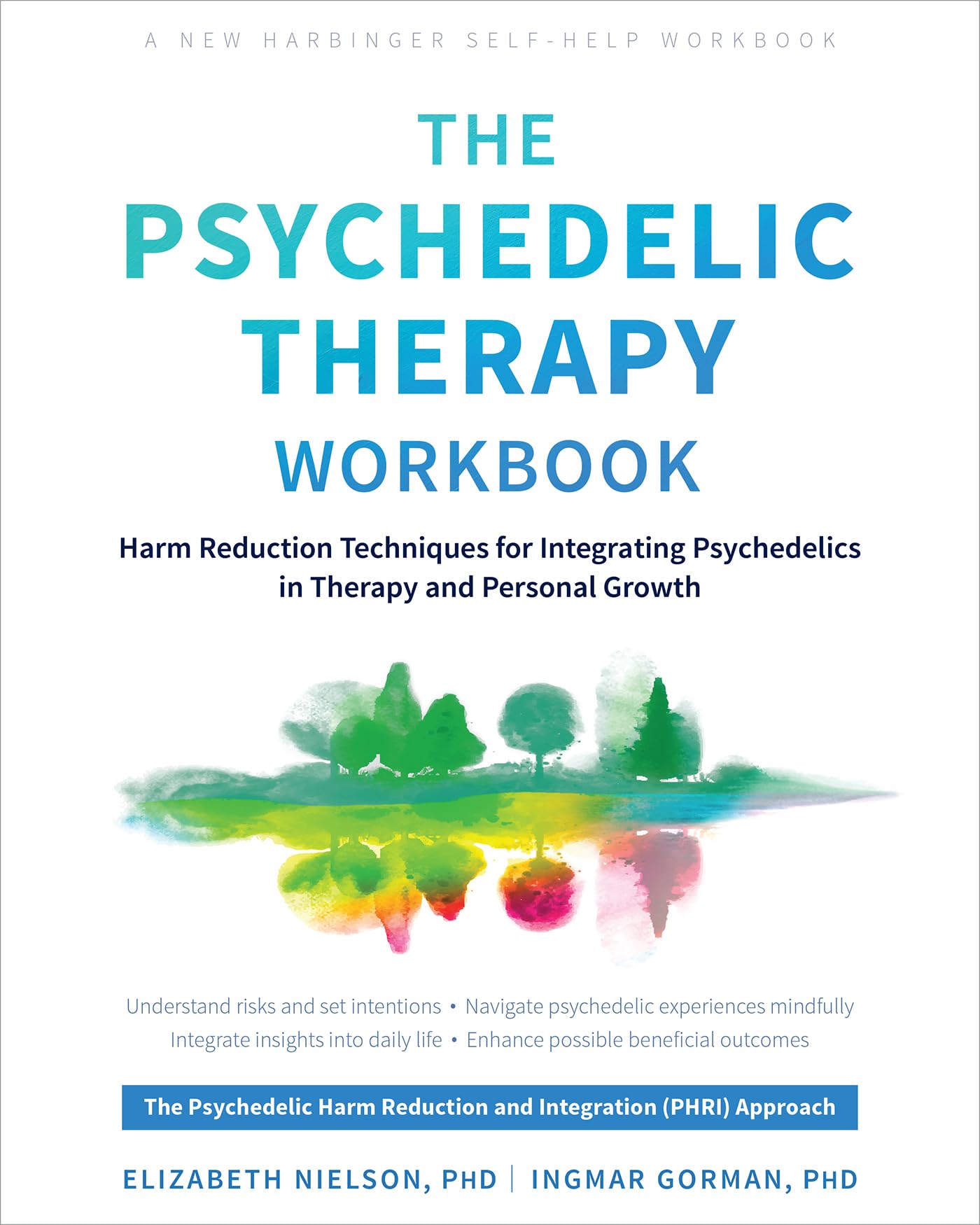 The Psychedelic Therapy Workbook by Elizabeth Nielson PAPERBACK 9781648484254
