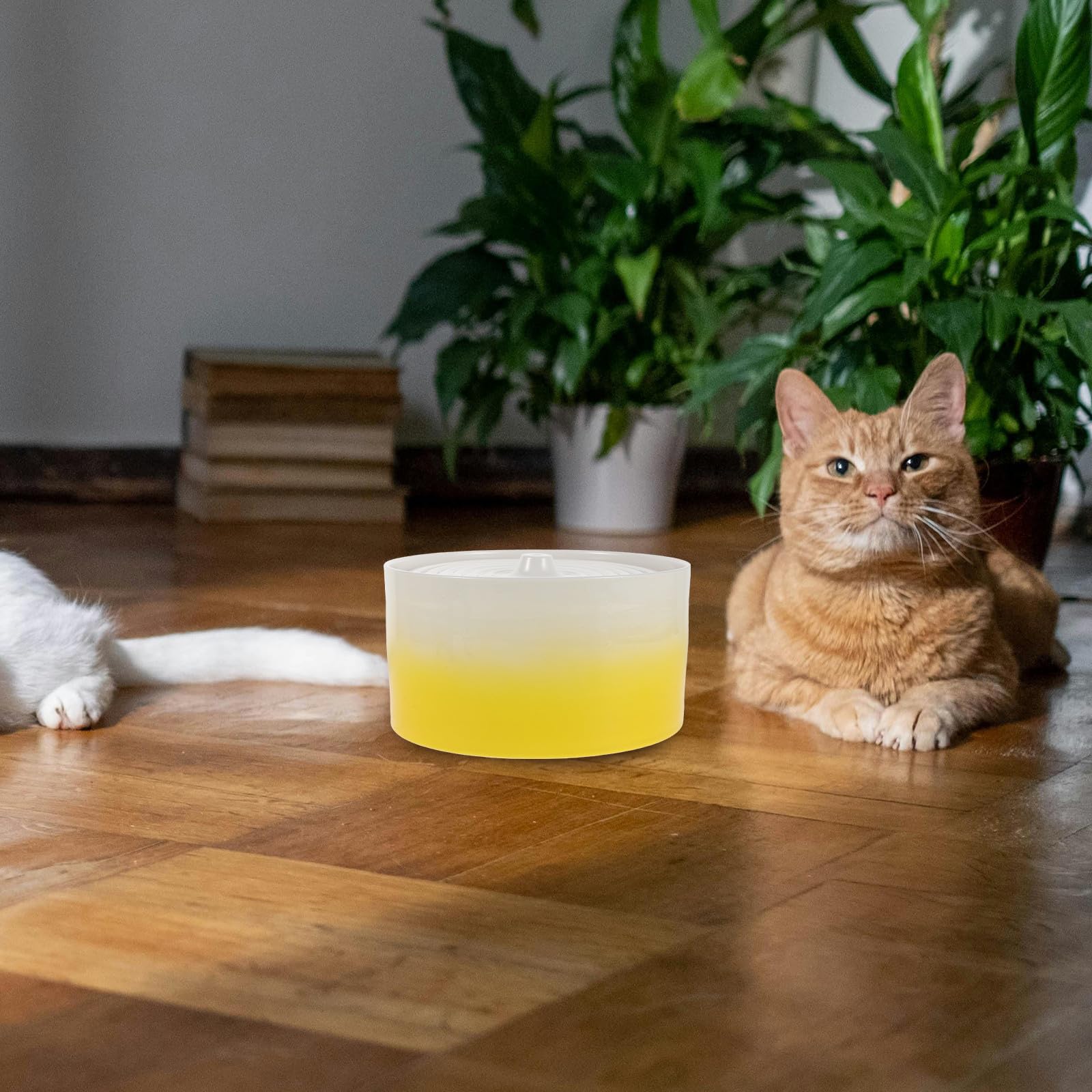 Mikikit Fuente de Agua para Gatos de Cerámica 1300ml Calentador Silencioso y Diseño Decorativo para Hogares Múltiples Gatos en Meses Fríos