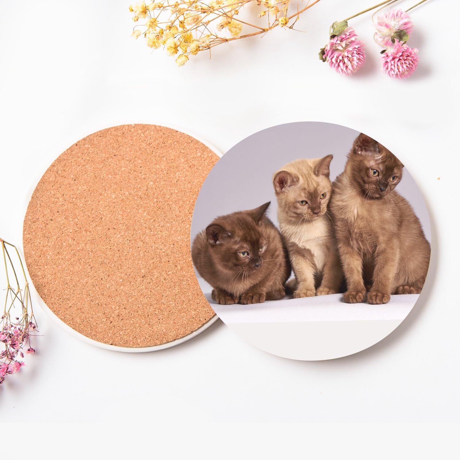 Sottobicchiere rotondo in ceramica – Bebe gatti siamesi persiani a pelo lungo gatto trio carino, confezione da 6 (108 x 108 mm)