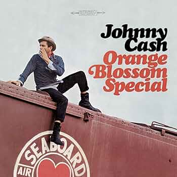 新品 入手困難 johnny loves brautigan 限定 CD-R ① 71hSpRFxm0L._UF350,350_QL50_.jpg
