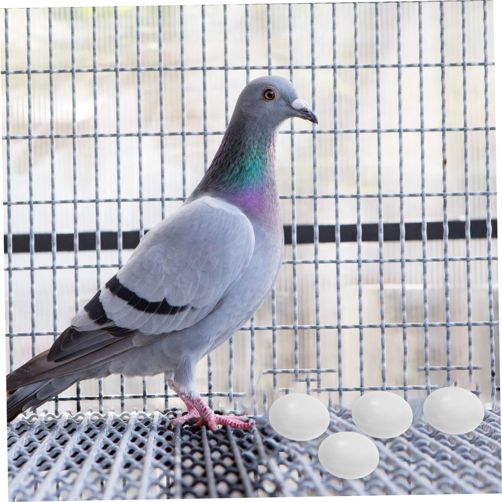 Yardenfun Uova Finte Per Uccelli - 10 Pezzi Realistici In Plastica Per Nidi, Decorazione E Progetti Fai Da Te - Foto 5