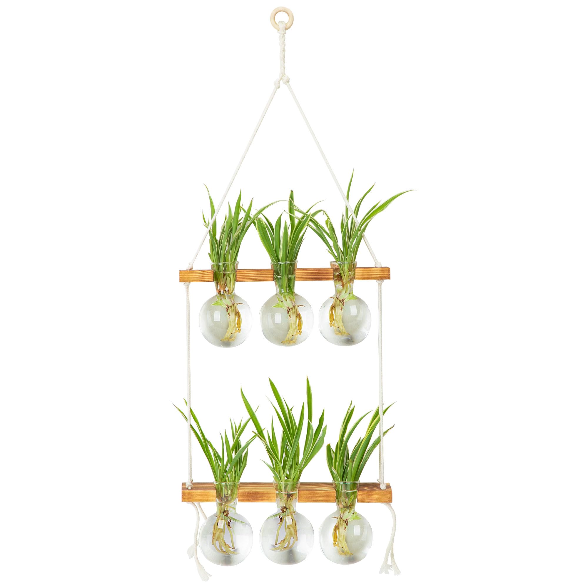 E-ROOM TREND Wand-Pflanzgefe fr Zimmerpflanzen, Anzuchtstationen mit 2  Ebenen, Holzstnder, Glasvasen, Anzuchtvasen fr Pflanzen, Terrarium,  Geschenke fr Pflanzenliebhaber, Heimbro-Dekor : Amazon.de: Kche,  Haushalt & Wohnen