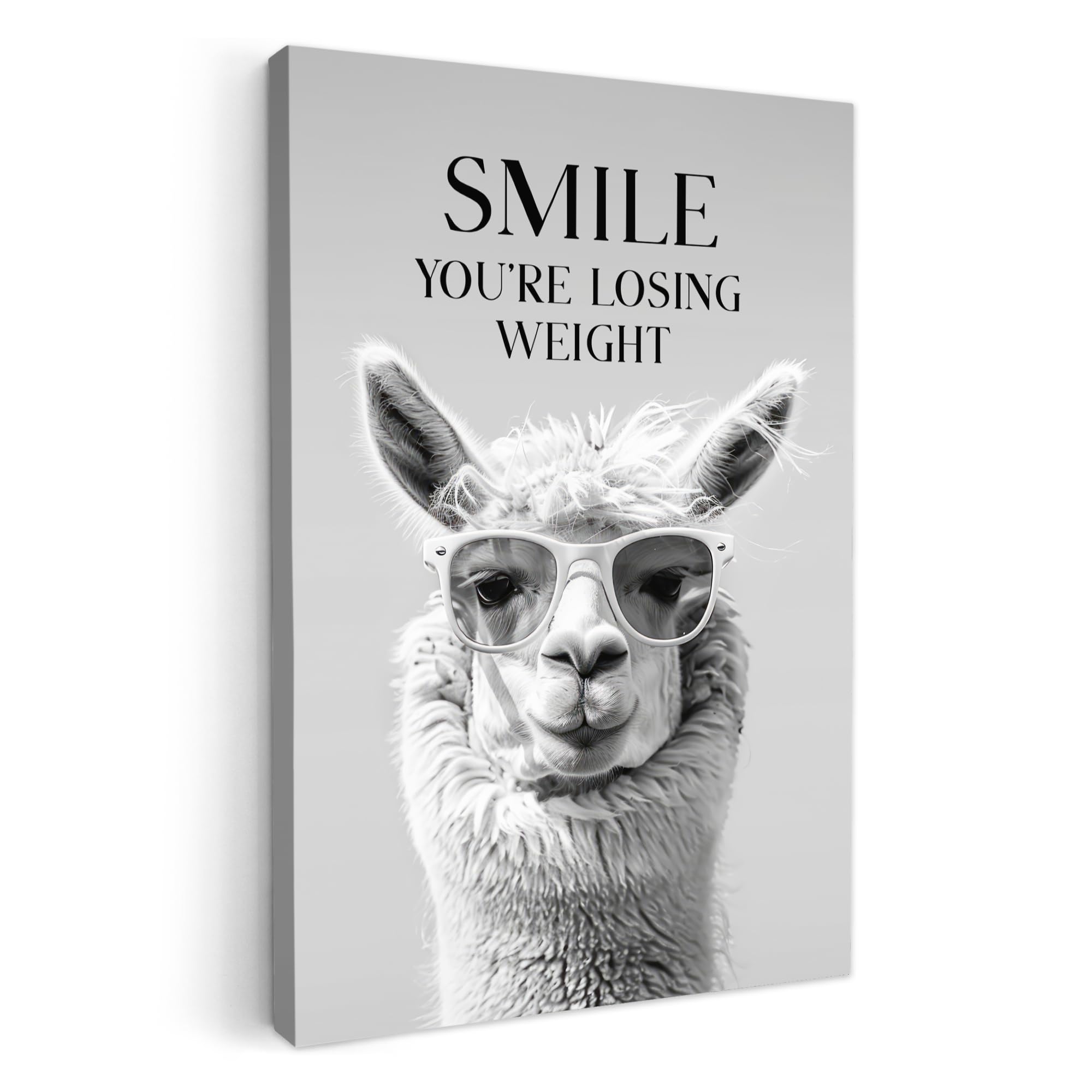 MuchoWow© Canvas Wall Art 20x30 cm Home Decor Paintings for Living Room Decorations Gifts Hallway Quotes - Lama - Smile - Proverbs - Grey — image 1