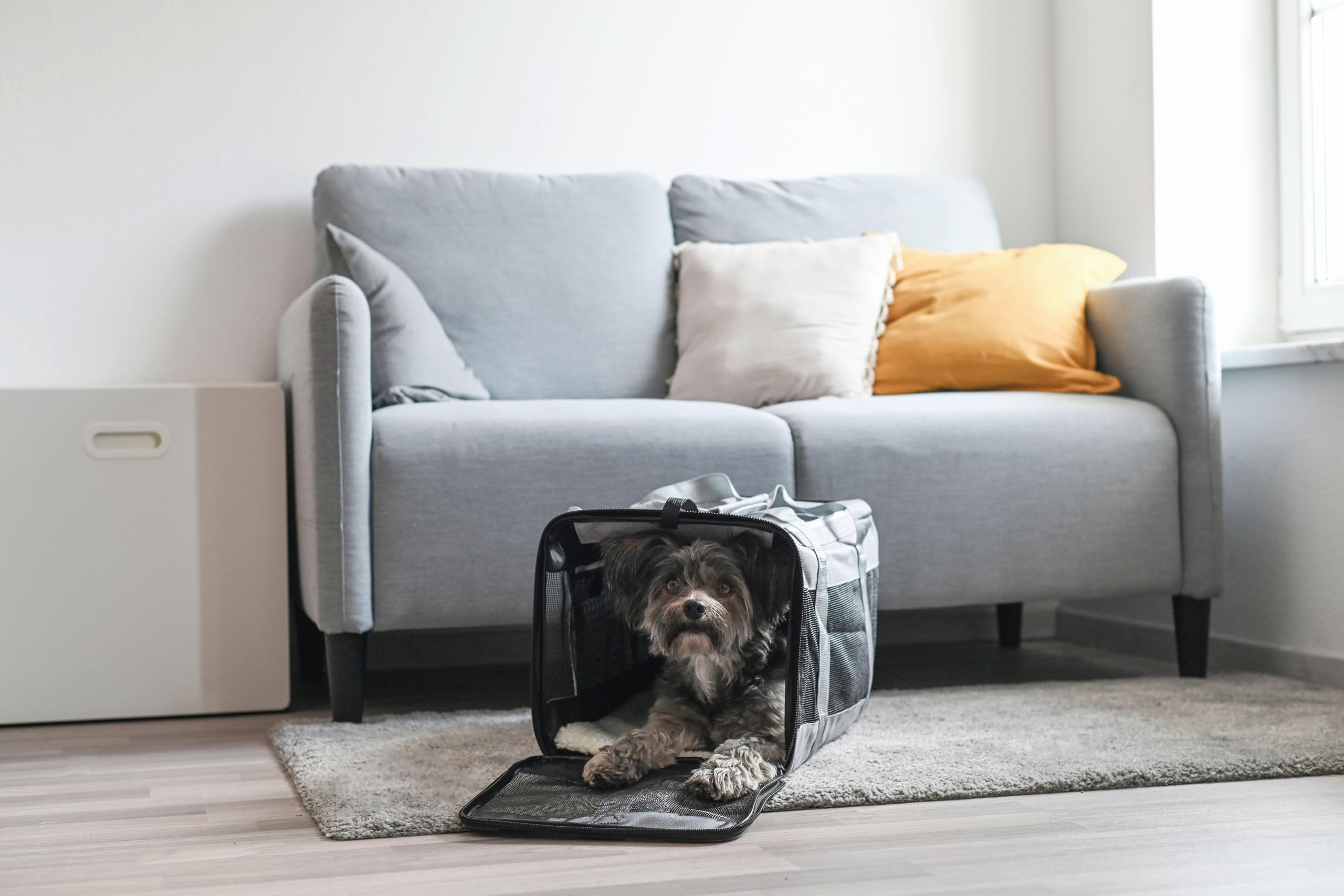 Kerbl Pet Bolsa de Transporte Casual, Bolsa para Perros, Gris, 41x28x29 cm, poliéster, para Perros pequeños, Funda Lavable, Insertos de Malla antiarañazos | Gris, 41 × 28 × 29 cm, poliéster, con funda lavable e inserciones de malla resistente a los arañaz