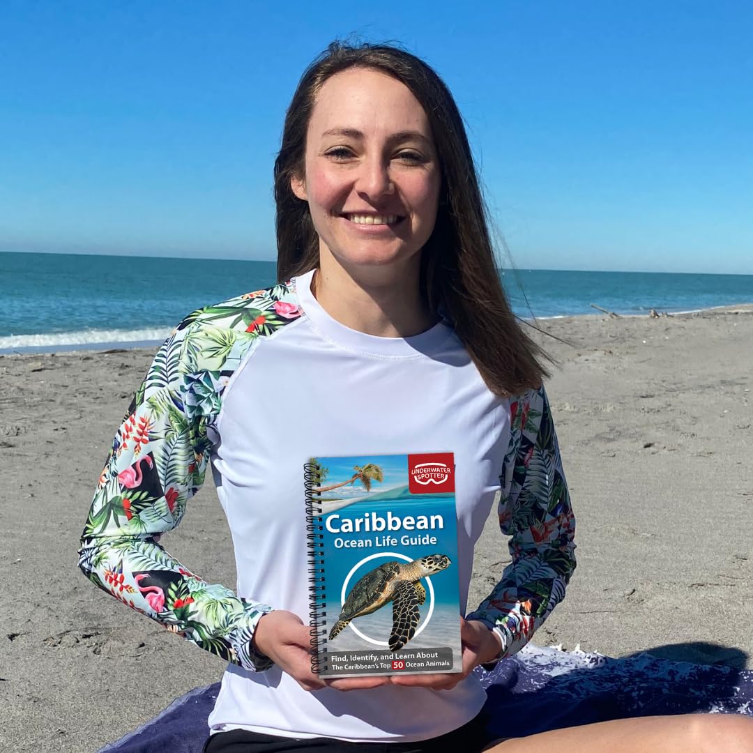 Caribbean Ocean Life Guide – Fish Identification Book for Beginners | 50 Species & Marine Animals Scavenger Hunt for Divers, Snorkelers & Kids