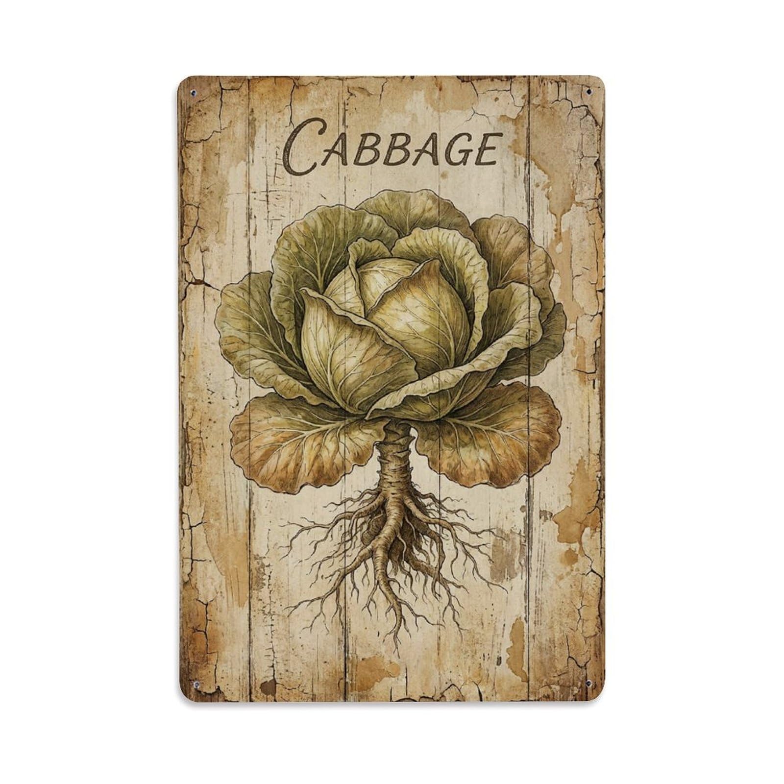 Cabbage Leafy Vegetable Vintage Metal Tin Sign Plaque Wall Decor for Cafe, Club, Garden Metal Poster 8x12Inch