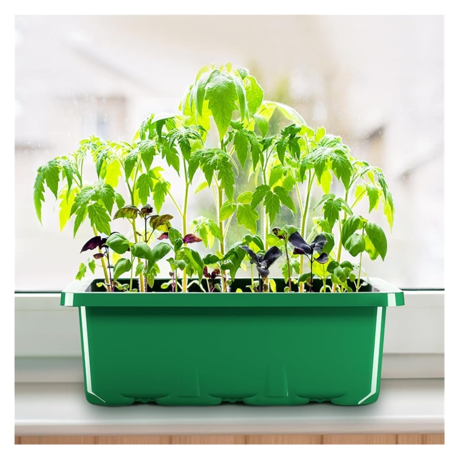 Bandejas Semilleros Kit de 10 bandejas for plántulas, kit de inicio de semillas, minipropagador, kit de cultivo de plantas con cúpulas con ventilación de humedad y base for iniciar semillas Invernader