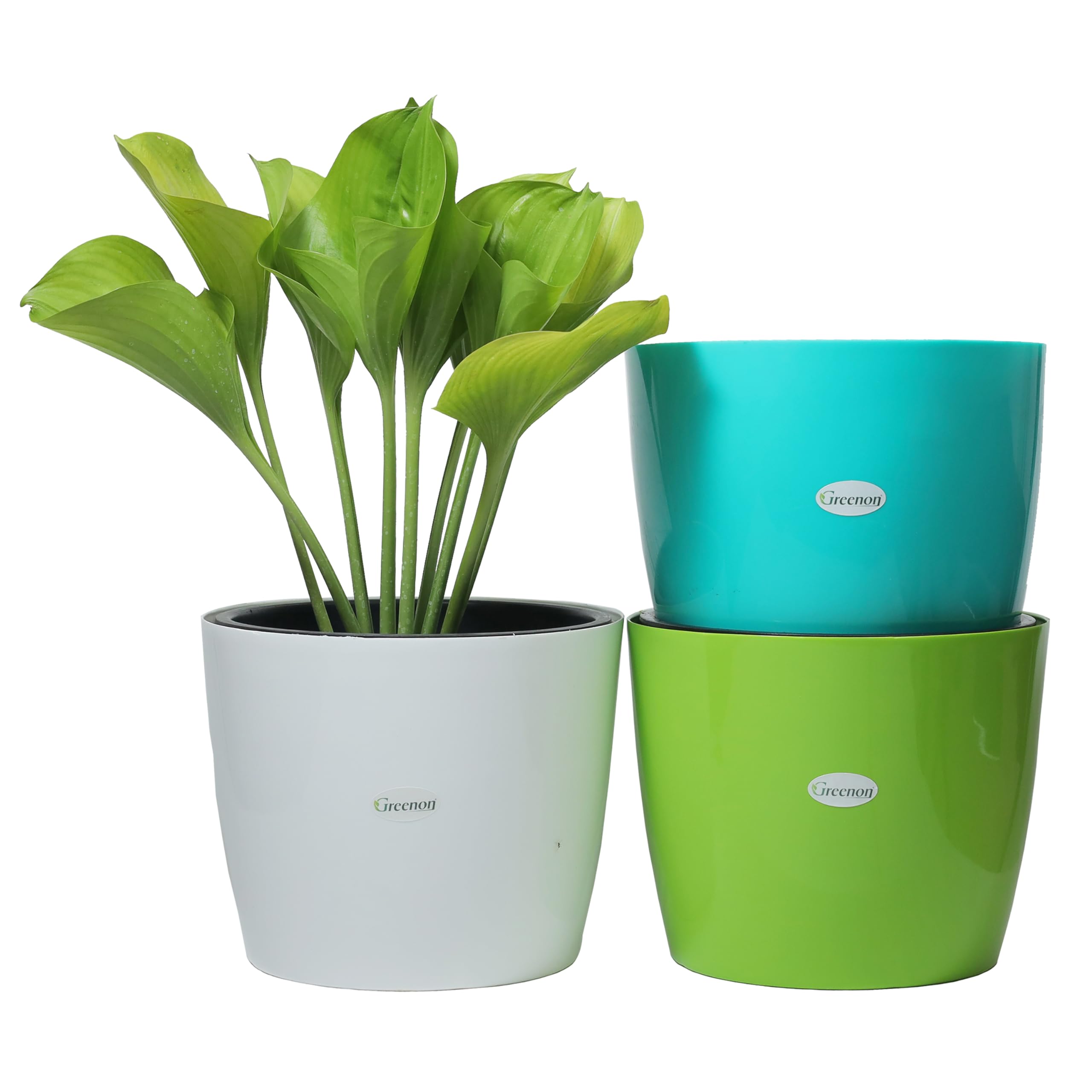 GREENON Self Watering Pots - Set of 3 -10 GREENON Self Watering Pots - Set of 3 -10