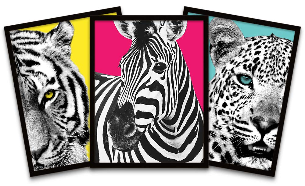 Amazon.com: Wee Blue Coo Tiger Zebra Leopard Animals Close Up