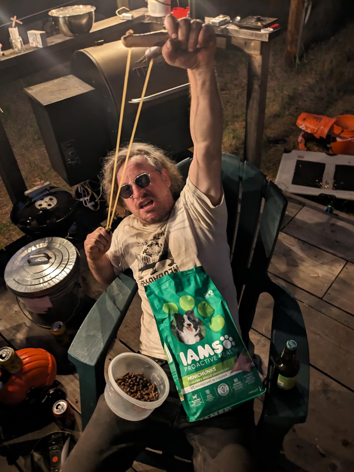 IAMS Proactive Health Minichunks Adult Dry Dog Food with Real Chicken, 30 lb. Bag photo review