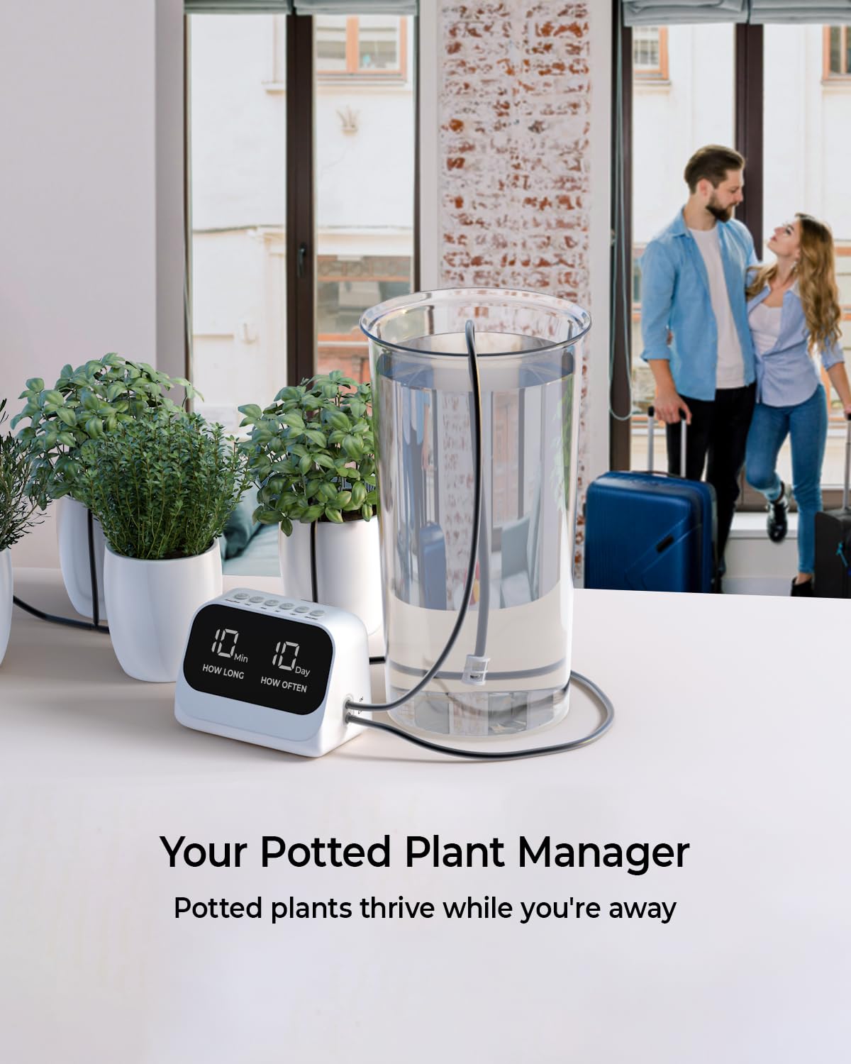 Système d'arrosage automatique pour plantes, système d'arrosage automatique avec minuterie programmable, affichage LED, système d'irrigation d'intérieur USB pour plantes en pot (blanc)