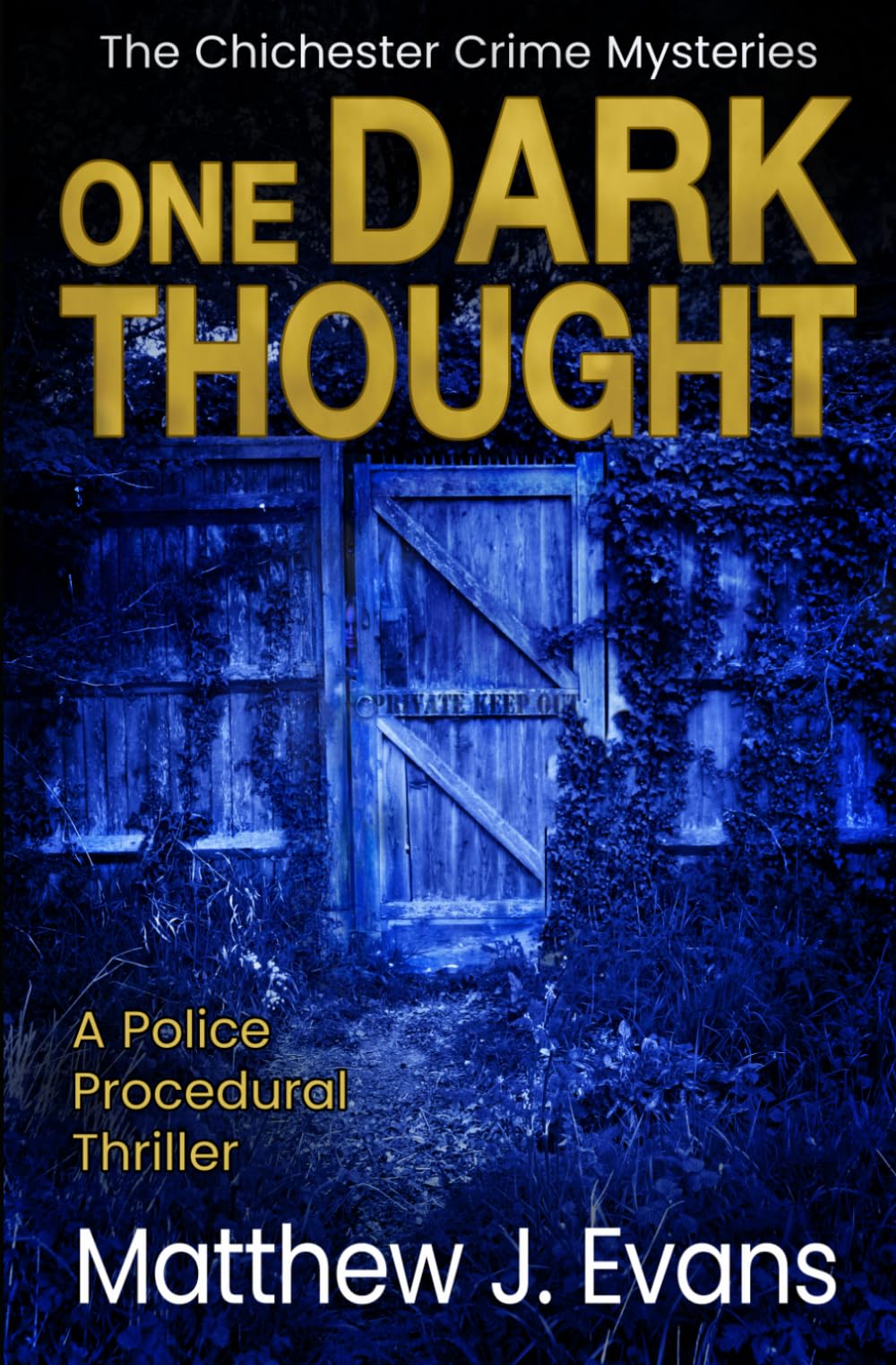 One Dark Thought: A Police Procedural Thriller: 4 (The Chichester Crime Mysteries)