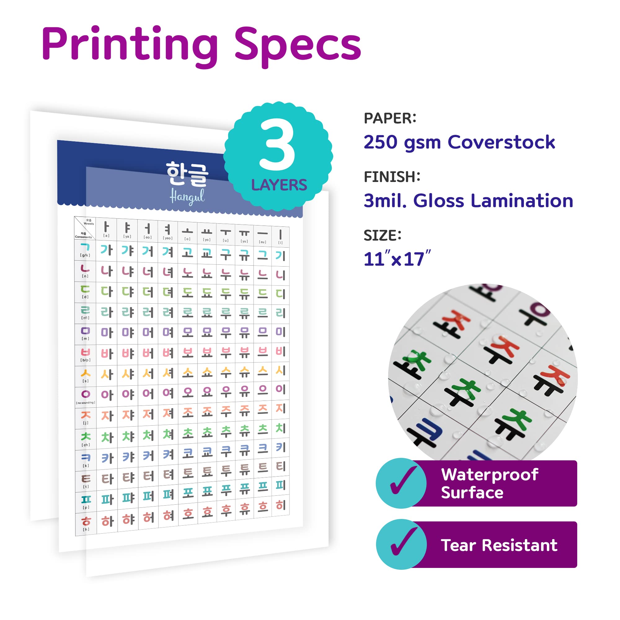 Amazon.com: Stellarsol Korean Educational Posters, 11x17 (17