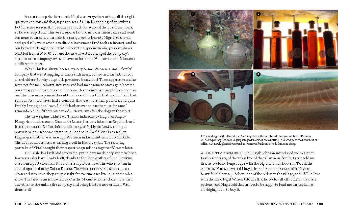 Viking in the Vineyard Peter Vinding-Diers /anglais: Stories from a revolutionary winemaker