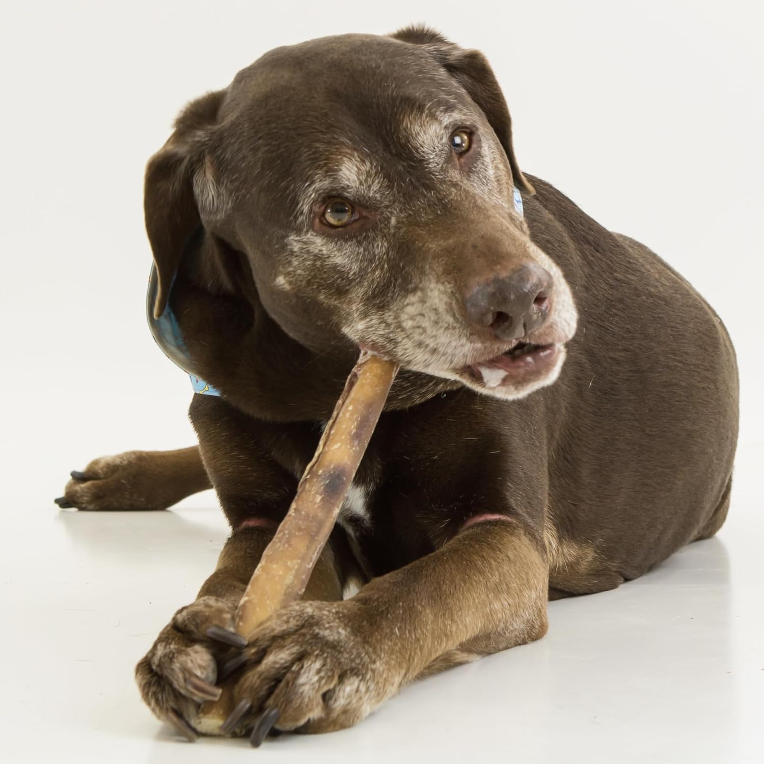 Best Bully Sticks Natural Jumbo Bully Sticks for Large Dogs - 12 Inch, 4 Count (Pack of 1) - 100% Free-Range Grass-Fed Beef, Single-Ingredient, Grain and Rawhide Free Long Lasting Dog Chews - Image 5