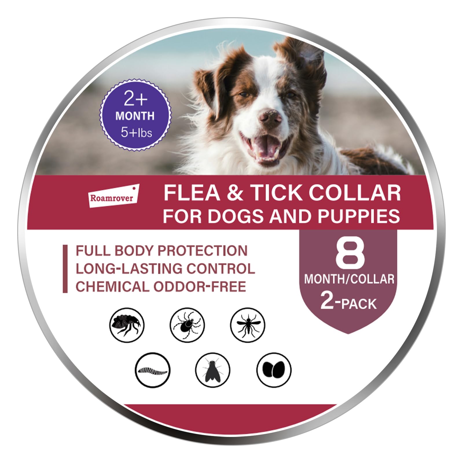Set mit 2 Flohhalsbändern für Hunde, langanhaltender Schutz 16 Monate, natürliches ätherisches Öl, wasserdicht & verstellbar, für ab 8 Wochen, ohne Chemikalien, Flohhalsband für Hunde