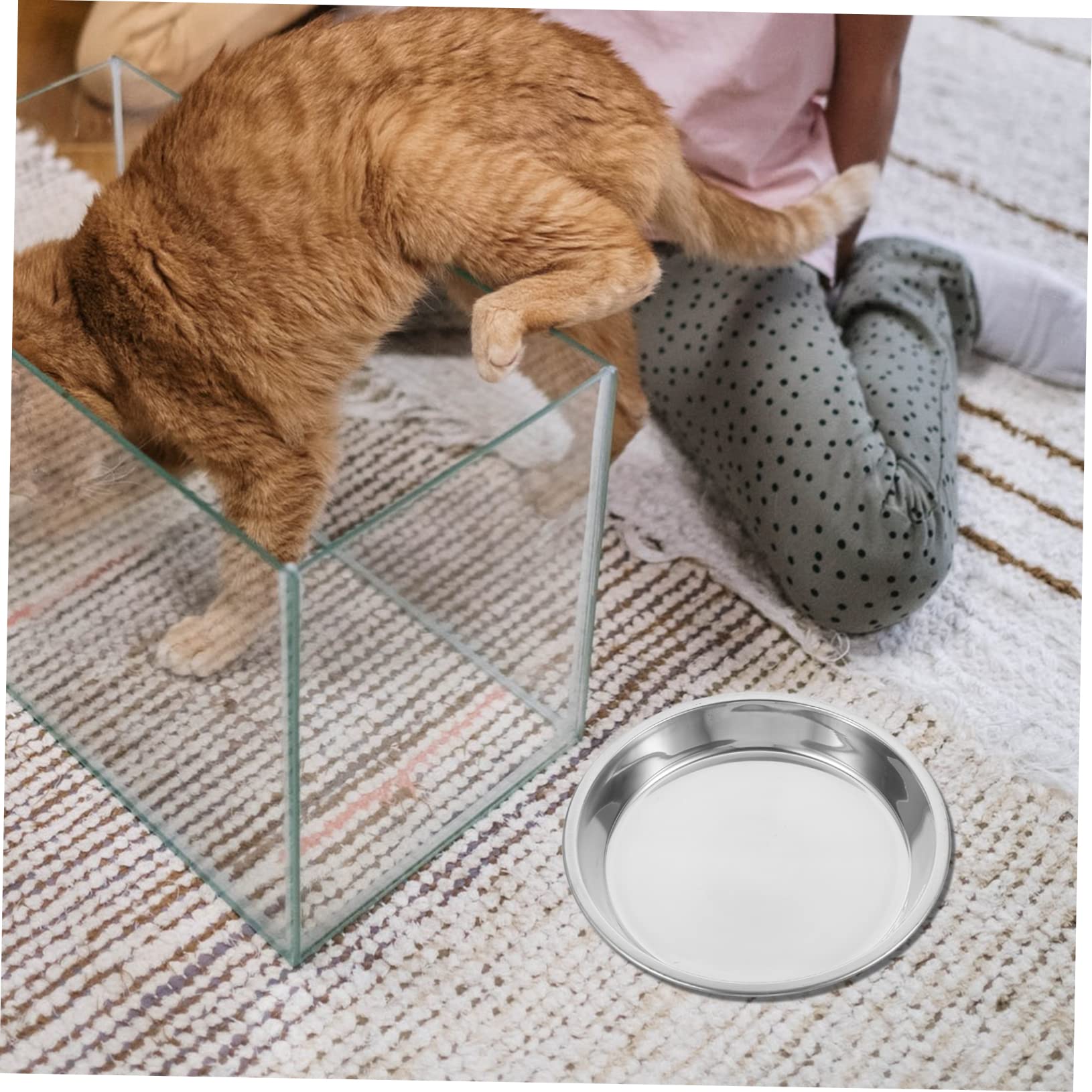 Edelstahl Katzennapf Groß, Flache Futterschale 4 Stück für Katzen