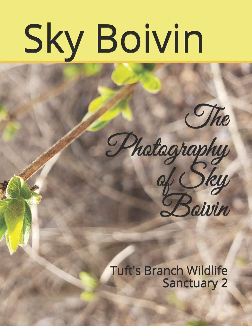 Tuft's Branch Wildlife Sanctuary 2 Sky Boivin photo paysage forêt
