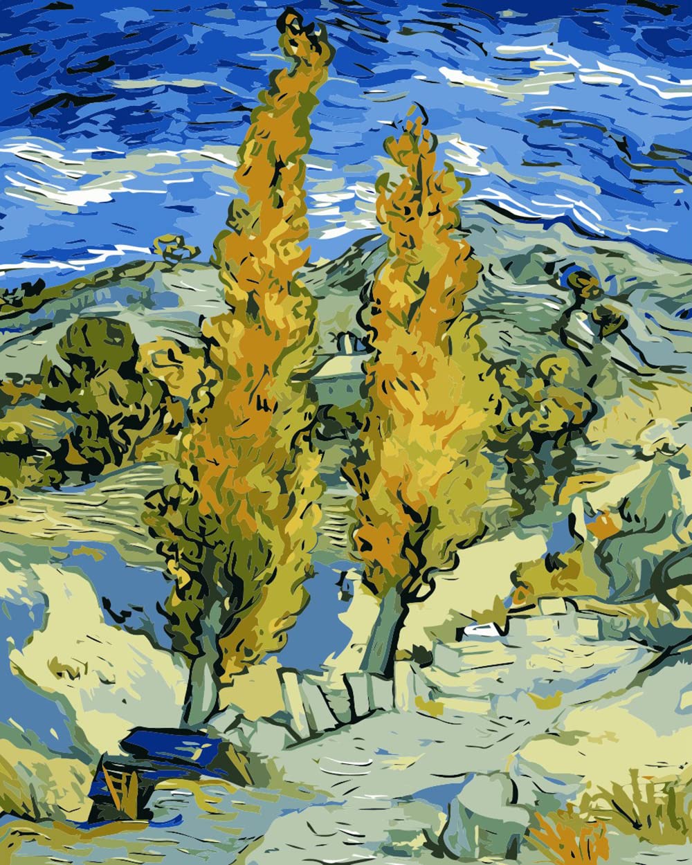 liziciti Kit de peinture par numéros sur toile pour adultes débutants Van Gogh, peintures célèbres à faire soi-même, peinture à l'huile acrylique, 40,6 x 50,8 cm (toile encadrée, peuplier)